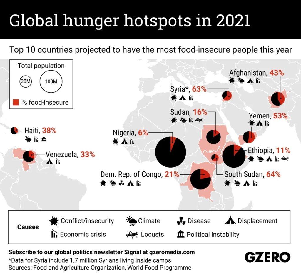 The Graphic Truth: Global hunger hotspots in 2021 | Via: Gzero ...